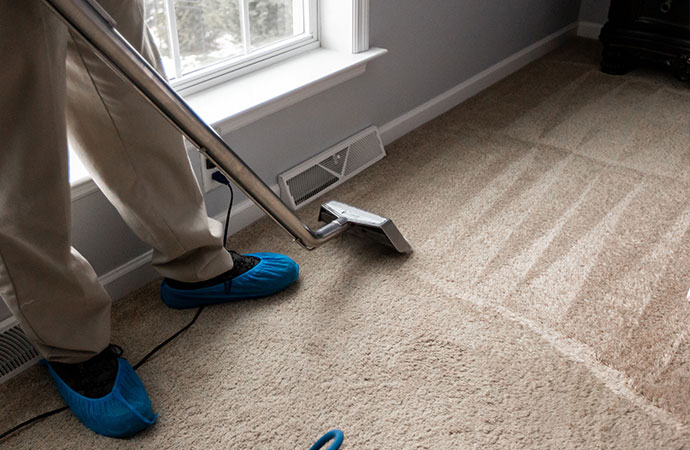 right carpet cleaning company